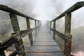 Фреска мост в тумане