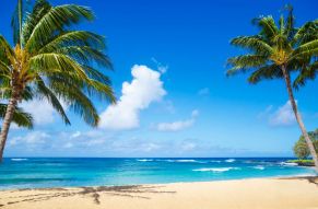 Фреска пляж и пальмы