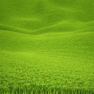 Фреска Зеленая трава