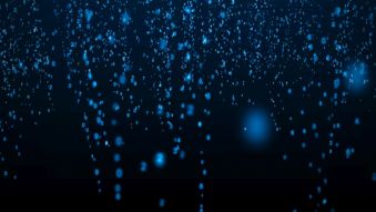 Фреска Цифровой дождь