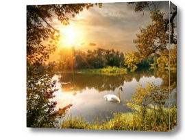 Картина Лебединое озеро